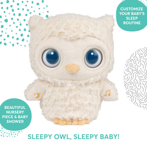Sleepy Eyes Owl Bedtime Soother, 8 in